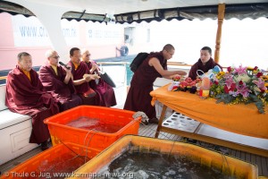 Fish release 2