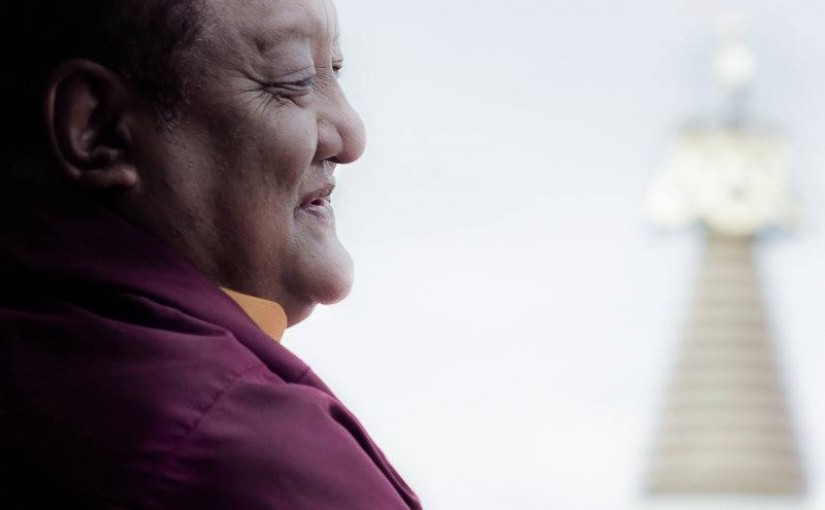 Allocution de Karmapa à l’occasion du premier anniversaire du décès de Shamar Rinpoché – 11 juin 2015
