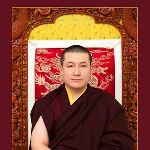 Karmapa au sujet des catastrophes