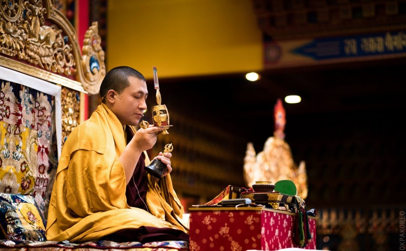 Karmapa en France